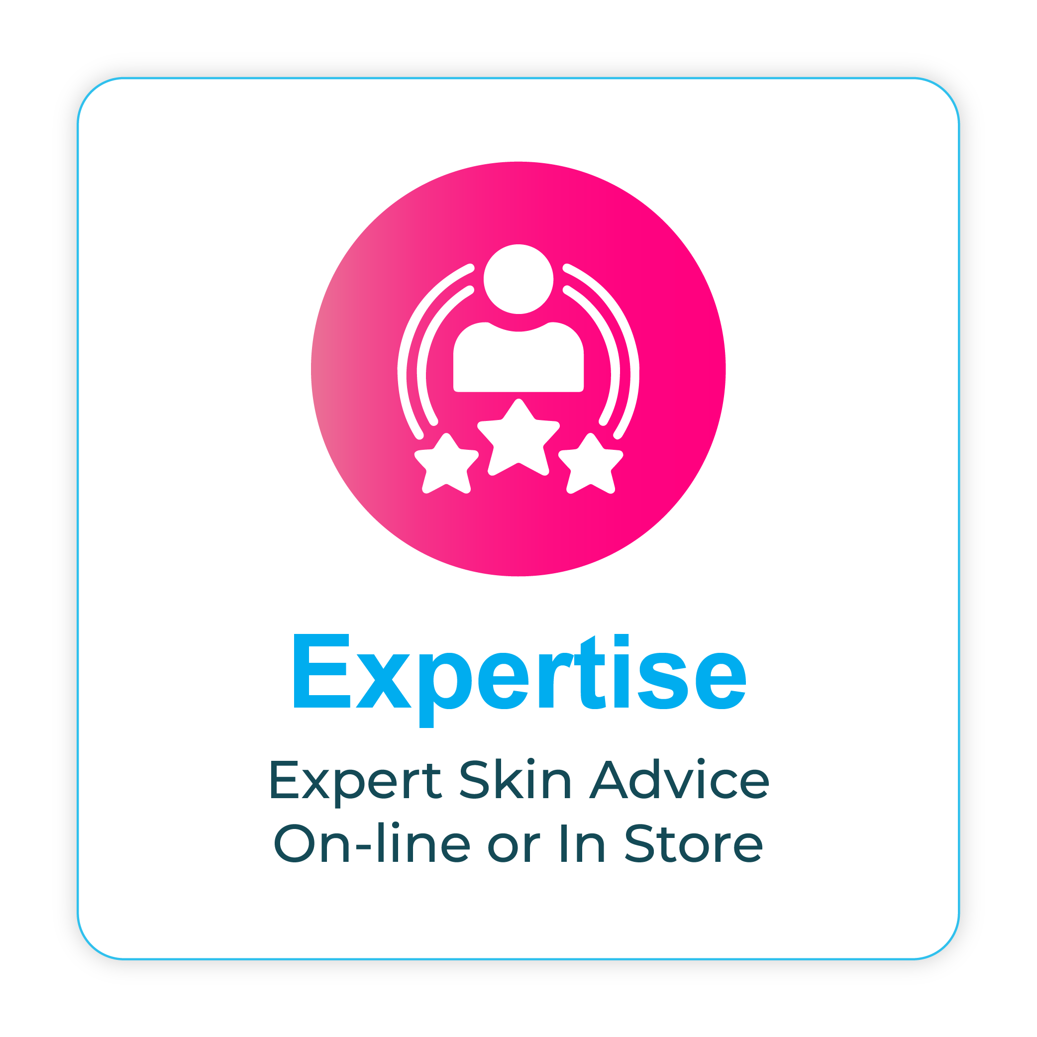 Expertise Icon - Professional Services